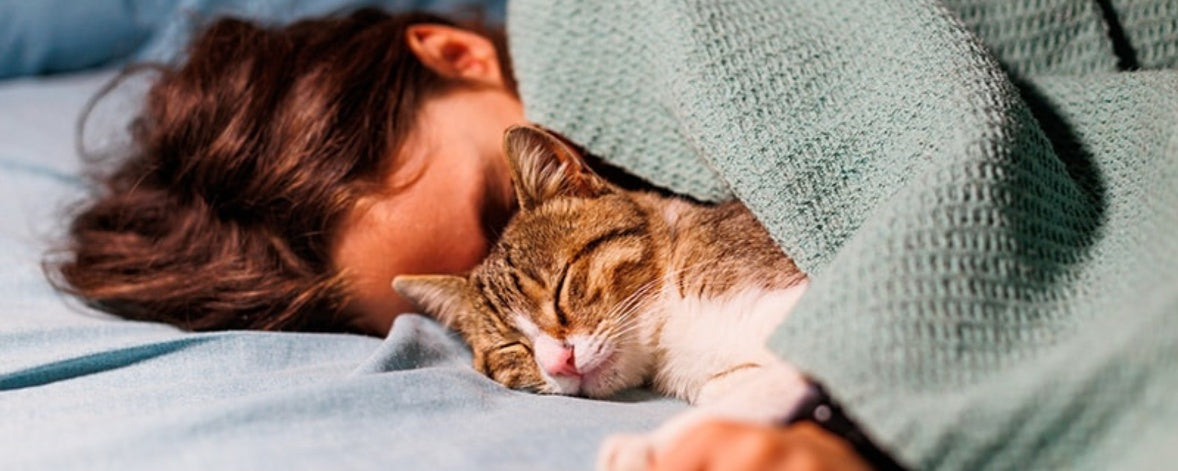 Should You Let Your Cat Sleep in Your Bed? Pros and Cons