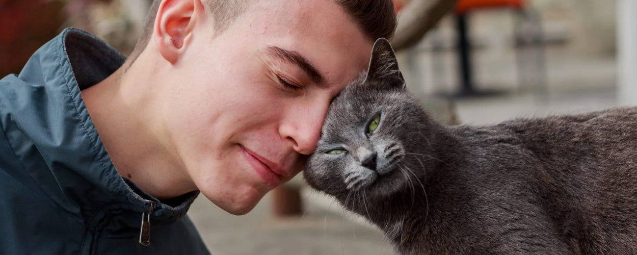 Why Does My Cat Headbutt Me? The Meaning Behind This Feline Gesture