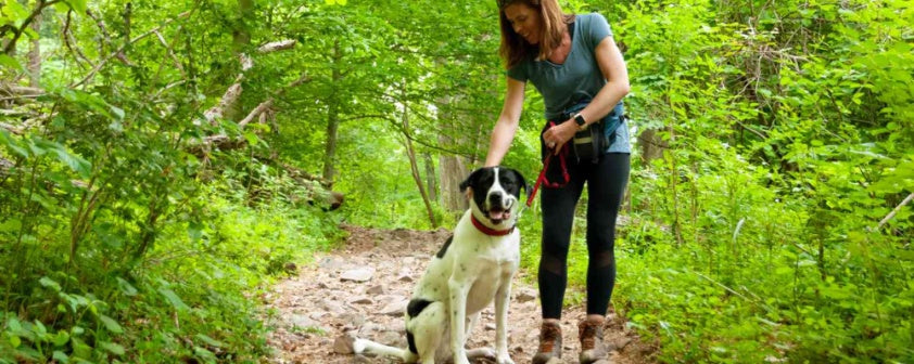 How to Make Hiking With Your Dog Safe and Enjoyable