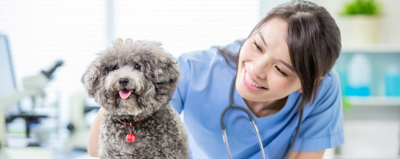 Surprising Pet Health Myths Every Owner Needs to Stop Believing