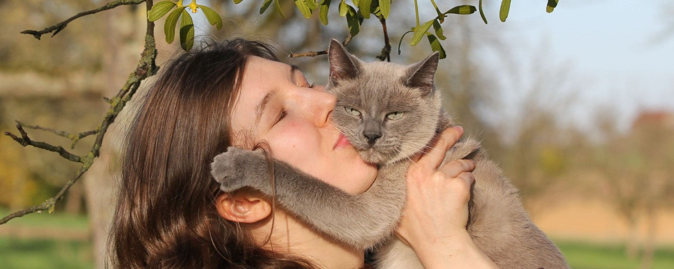 Buy Cat accessories online