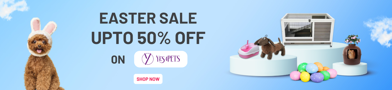 Limited-Time YES4PETS Deals: Save Up to 50% on Pet Supplies at PetServo