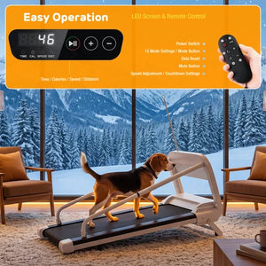 A dog treadmill shown in a modern living room with a snowy mountain view outside, with an overlaid feature graphic at the top showing a digital display, remote control, and text about easy operation and LED screen & remote control. A hand holding the remote is visible in the top-right corner at Pet Servo