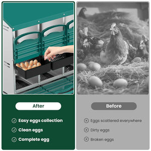 Egg collection system with a hand placing eggs into it, shown before and after images of eggs being collected.