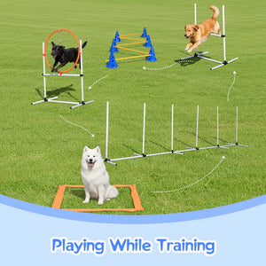 Dog agility training equipment on a grassy field with dogs interacting with the obstacles at Pet Servo