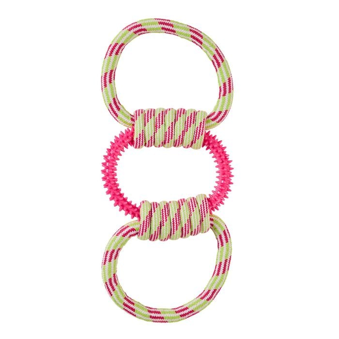 Pink and green striped keychain with three interlocking rings on a white background at Pet Servo