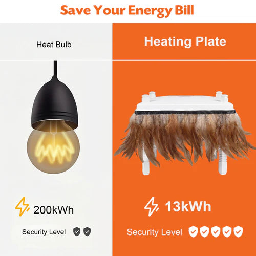 Comparison of heat bulb and heating plate with energy consumption and security level indicators at Pet Servo