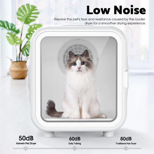 Pet dryer with a cat inside, showing low noise levels compared to traditional hair dryers at Pet Servo
