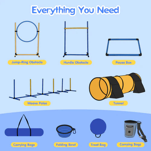 Dog training obstacle set with various components on a blue background at Pet Servo