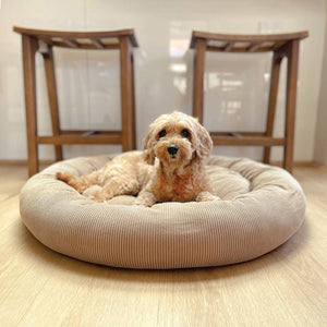 Dog sitting on a round beige pet bed in a room with wooden flooring and furniture.