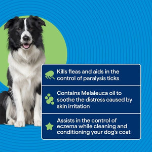 Dog with product features on a blue background