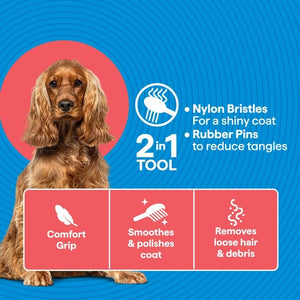 Dog grooming tool with features listed on a blue background