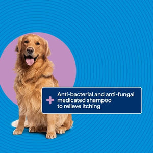 Dog with a promotional text about anti-bacterial and anti-fungal shampoo on a blue background