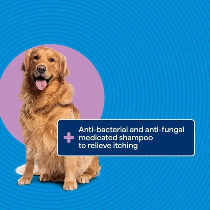 Dog with a promotional text about anti-bacterial and anti-fungal shampoo on a blue background