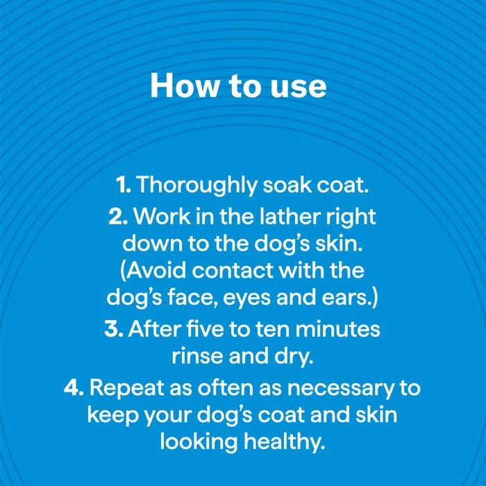 Instructions on how to use a product for dogs on a blue background