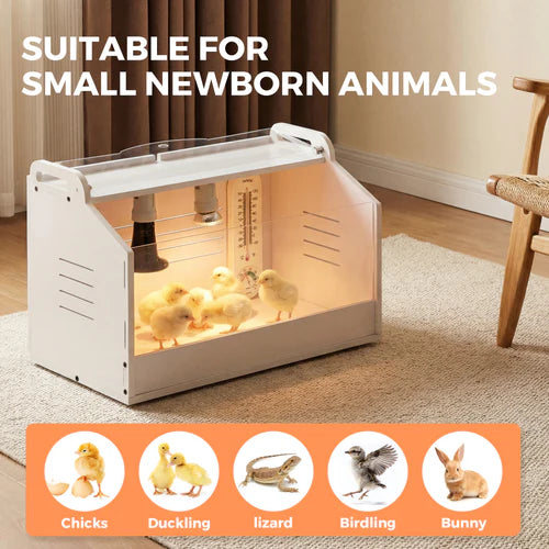 Incubator with small animals inside, suitable for newborn animals, on a carpeted floor at Pet Servo