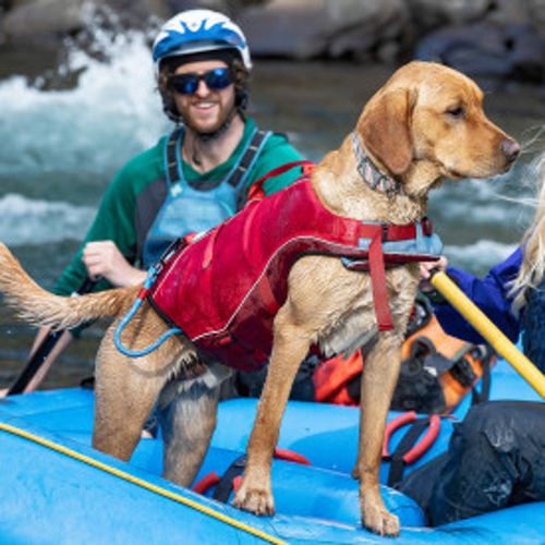 Kurgo Pets - Surf N Turf Dog Life Jacket
