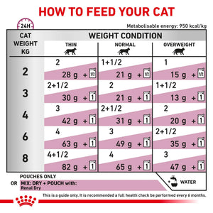 Royal Canin - Veterinary Diet Renal Fish Adult Wet Cat Food 85g x 12 - Petservo