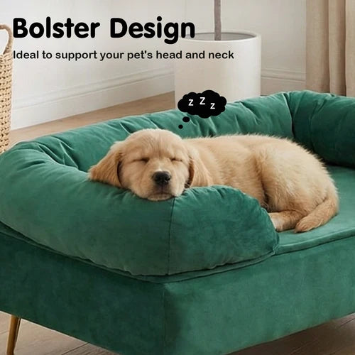 Dog sleeping on a green bolster design pet bed with text indicating its benefits at Pet Servo