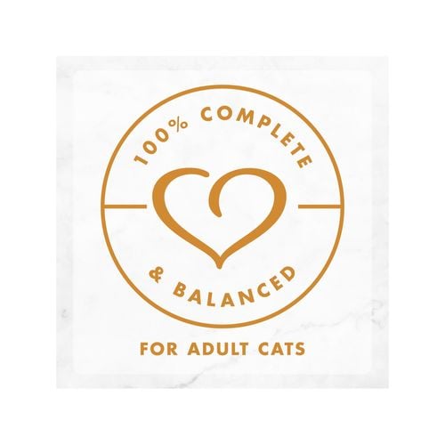 Fancy Feast - 85g Delights with Cheddar Grilled Wet Cat Food - 24 Pack - petservo