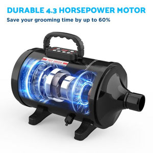 Advwin - 2000W Pet Dryer Smart LCD Display Black - petservo