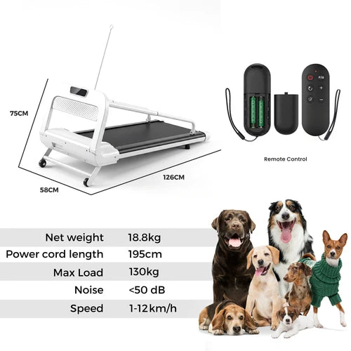 Dog treadmill with remote control, specifications, and a group of dogs at Pet Servo