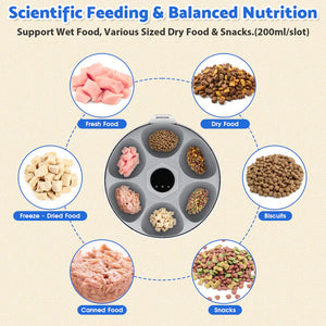 Pet food tray with various types of pet food around it, labeled for scientific feeding and balanced nutrition.