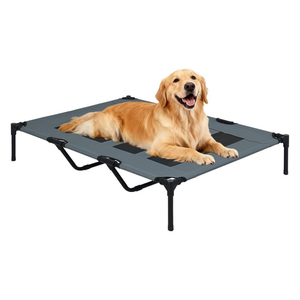 A golden retriever dog lies on a raised gray pet cot with black legs and support bars, photographed on a clean white background.