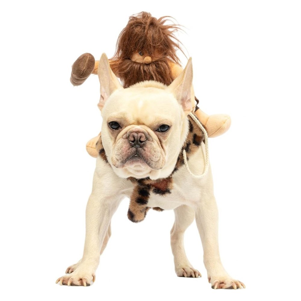 A cream-colored French Bulldog wearing a 'Paleolithic Woman' costume, featuring a brown spotted leopard-print skirt, a rope harness, and a brown faux-fur wig with a doll attached on its back, photographed against a solid white background.