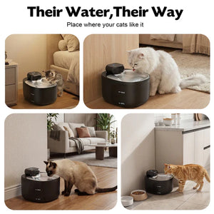 Cat drinking from a black pet fountain in various home settings at Pet Servo