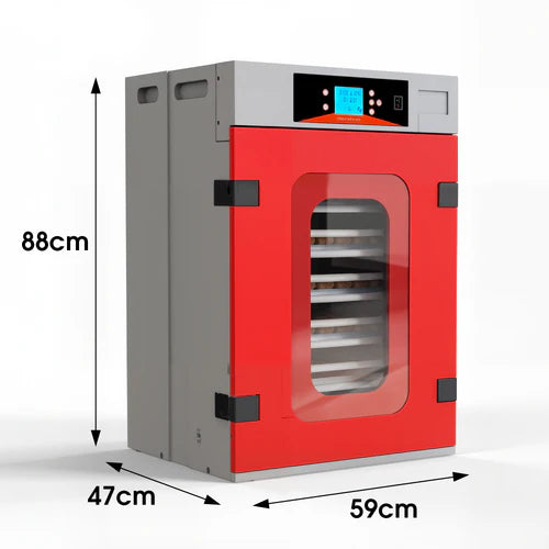 Red and gray industrial oven with dimensions indicated on a white background at Pet Servo
