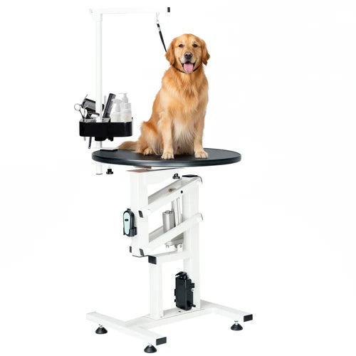 Dog grooming table with a golden retriever on a white background at Pet Servo