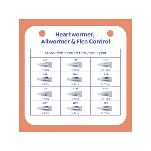Purina Total Care - Cat Heartwormer, Allwormer and Flea Control - petservo