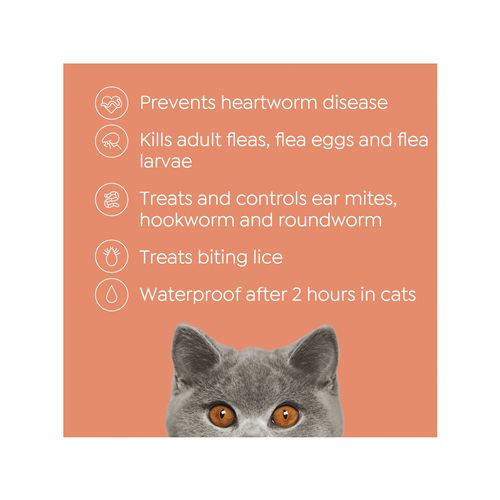 Purina Total Care - Cat Heartwormer, Allwormer and Flea Control - petservo
