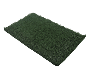 Green scrub pad on a white background at Pet Servo