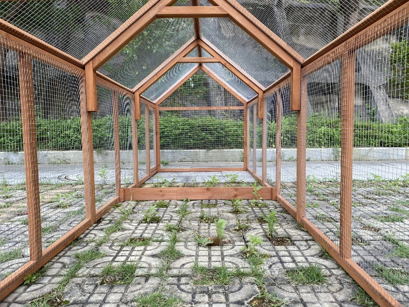 Geometric wooden birdcage with glass panels on a stone ground at Pet Servo