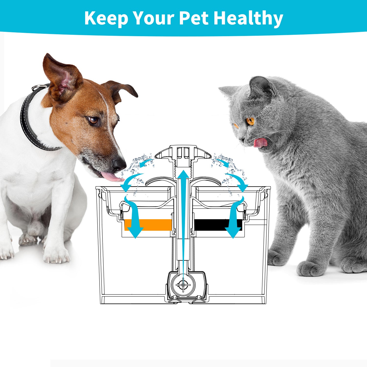 Dog and cat looking at a diagram of a pet health system with text 'Keep Your Pet Healthy' at Pet Servo