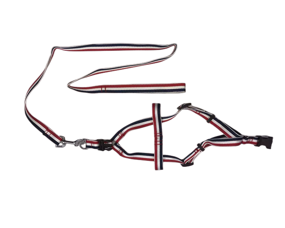 Horse bridle with reins on a white background at Pet Servo