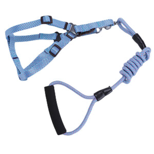 Blue patterned dog harness with a leash on a white background at Pet Servo