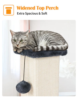 Cat lounging on a widened top perch with a ball toy, on a white background at Pet Servo