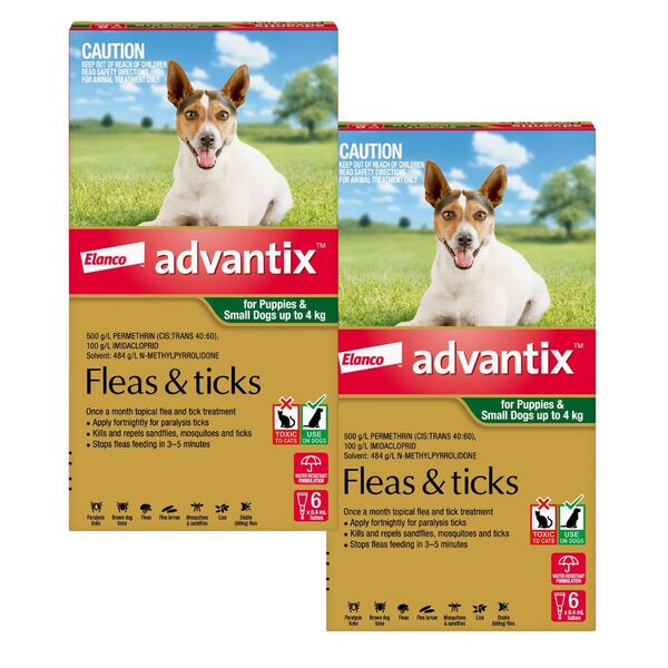 Two boxes of Elanco Advantix for dogs with a dog on the label against a grassy field background at Pet Servo