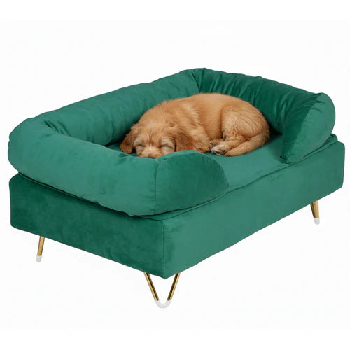 Green pet bed with a dog sleeping on a white background at Pet Servo
