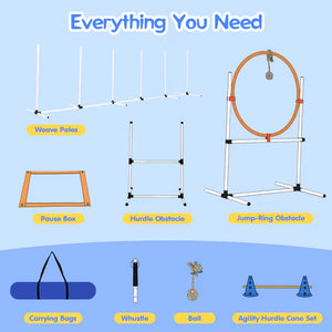 Dog agility training equipment set on a blue background with text indicating 'Everything You Need' at Pet Servo