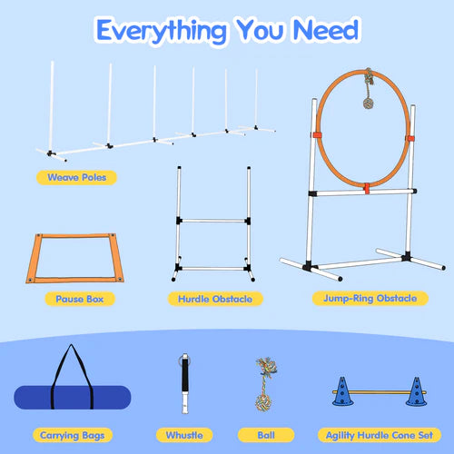 Dog agility training equipment set on a blue background with text indicating 'Everything You Need' at Pet Servo