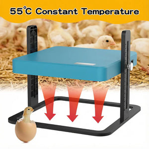 Chicken brooder with constant temperature display and chicks in the background at Pet Servo