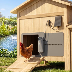 A wooden chicken coop with a ramp, digital door opener, and small solar panel, shown outdoors near water with a brown chicken standing at the entrance at Pet Servo