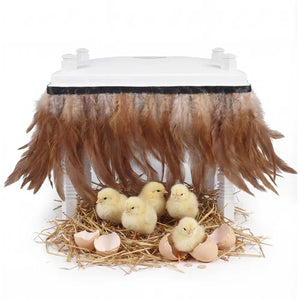 Small white incubator with fluffy brown feathers and baby chicks on a white background at Pet Servo