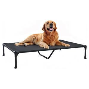 A golden retriever dog lies on a black elevated pet cot with a black mesh top and black metal legs, photographed on a clean white background.