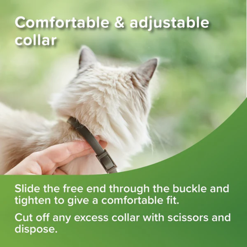 Beaphar flea and tick collar clearance