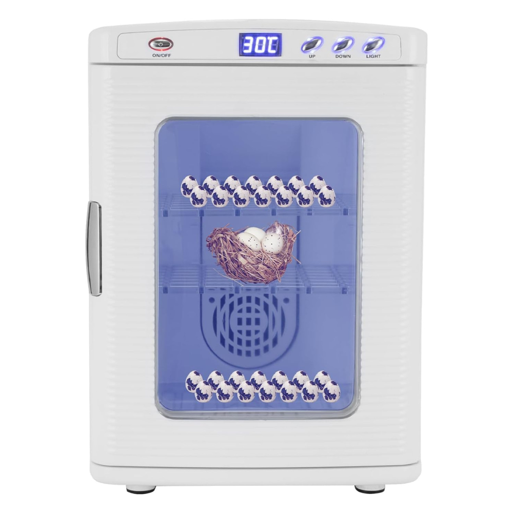 A white UV light sterilizer/drying cabinet with a digital temperature display showing 30C. The front door has a large blue-tinted window showing two shelves with small illustrated items, and a nest with eggs in the center.